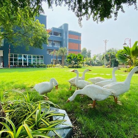 Krishna Riverside Resort Vasad Exterior foto